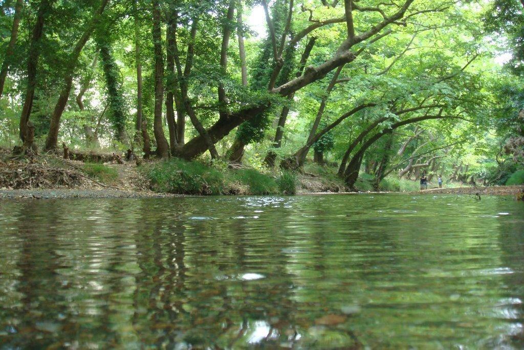 The Villa Averoff Κήρινθος Δωμάτιο φωτογραφία