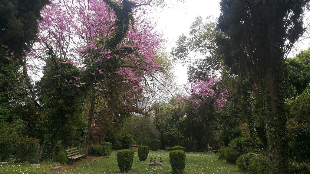 The Villa Averoff Κήρινθος Δωμάτιο φωτογραφία